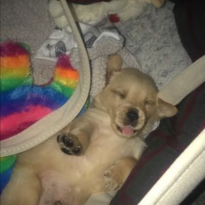 Meet your Posher, Nathan